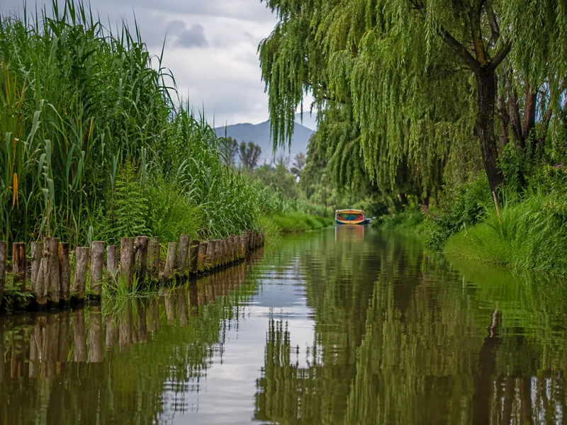 Ein schmaler grüner Wasserlauf, gesäumt von hohem Schilf und Weiden, Holzpfähle am Ufer und ein einzelnes buntes Boot in der Ferne